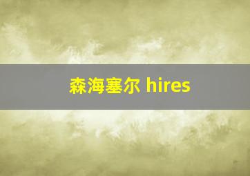 森海塞尔 hires